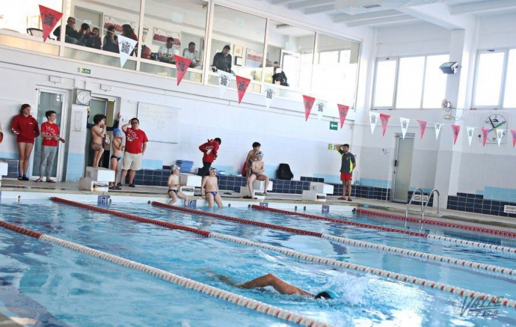 Los nadadores del CEE empiezan con &eacute;xito la temporada con 28 medallas