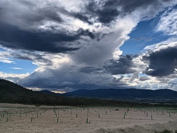Previsi&oacute;n para el fin de semana
