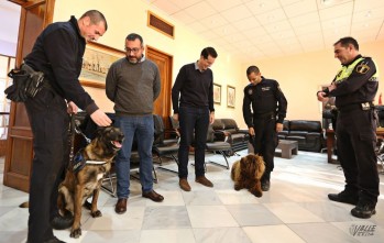 La incautaci&oacute;n de drogas en Elda aumenta un 300% gracias a Lobo y Suso