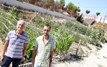 El &aacute;rea de Desarrollo Local planea crear m&aacute;s huertos urbanos en Elda