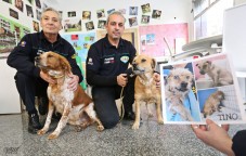 Una asociaci&oacute;n por la defensa legal de los animales