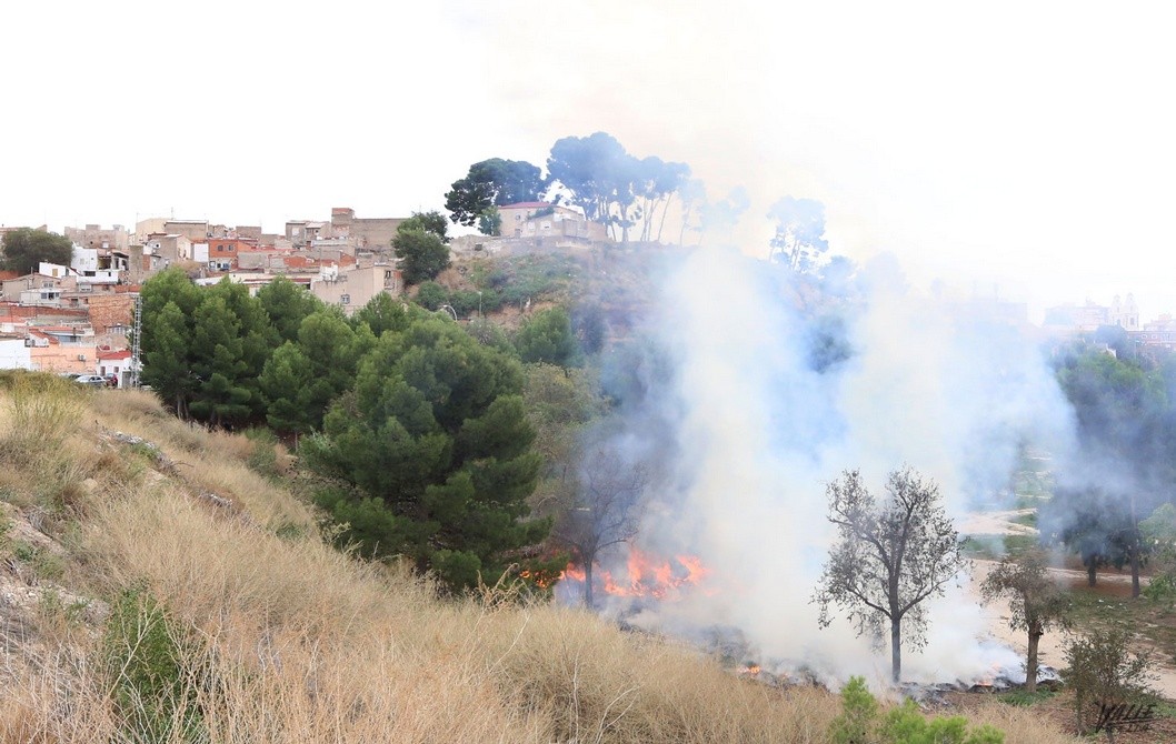 El PP exige explicaciones por los restos de poda en los que se inició el fuego en los Jardines del Vinalopó El PP exige explicaciones por los restos de poda en los que se inició el fuego en los Jardines del Vinalopó