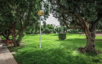 Petrer abrir&aacute; las piscinas el pr&oacute;ximo 1 de julio con servicio de cantina