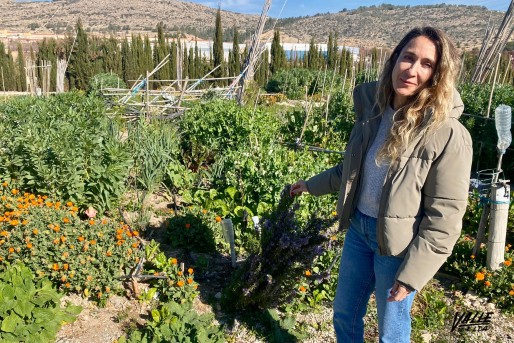 Medio Ambiente abre el plazo para solicitar parcelas en los Huertos Municipales Ecol&oacute;gicos
