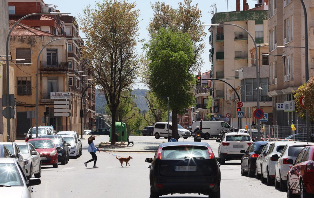 Petrer invertirá seis millones de euros en mejorar la localidad Petrer invertirá seis millones de euros en mejorar la localidad
