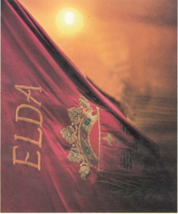 Orgullo de bandera