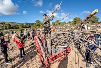 La recogida de le&ntilde;a para San Ant&oacute;n ser&aacute; este s&aacute;bado