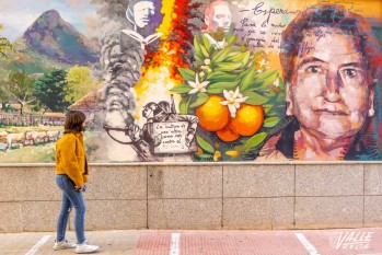 Vandalismo contra el mural en homenaje al poeta Paco Moll&aacute; en Petrer