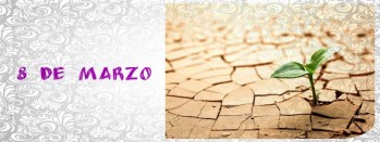 Lecciones del 8 de marzo