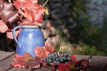 &iquest;Qui&eacute;nes se involucran en la elaboraci&oacute;n de un vino? 