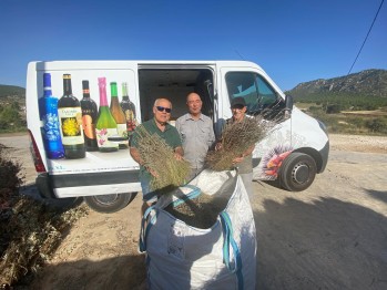 El espliego para las Fiestas Mayores de Elda