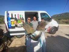 El espliego para las Fiestas Mayores de Elda