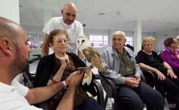 La Residencia La Molineta incluye terapias innovadoras con aves rapaces