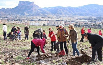 La lluvia obliga a aplazar la celebraci&oacute;n del D&iacute;a del &Aacute;rbol y el Cross escolar