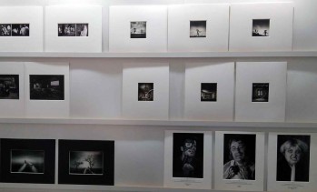 Presentan m&aacute;s de 416 im&aacute;genes al 23&ordm; Concurso Foto-Petrer 2018