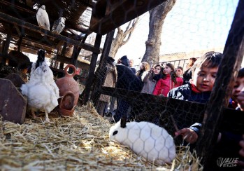 La Granja M&oacute;vil de San Ant&oacute;n se sustituir&aacute; por juegos interactivos