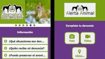 Alerta Animal: la APP gratuita para denunciar el abandono y maltrato animal