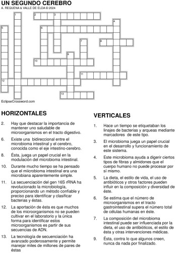Un segundo cerebro