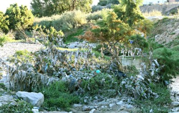 Elda reforestar&aacute; la zona del r&iacute;o en el D&iacute;a del &Aacute;rbol