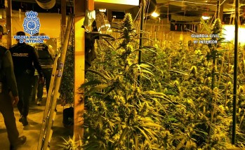 Cuatro detenidos por robo con fuerza en una plantaci&oacute;n de marihuana oculta en un almac&eacute;n