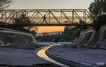 Elda solicita una ayuda de 3,8 millones para eliminar el hormig&oacute;n del cauce del r&iacute;o Vinalop&oacute;
