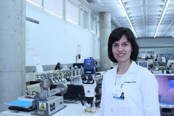 INESCOP acoger&aacute; la defensa de una tesis doctoral sobre la piel curtida