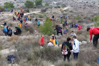 Medio Ambiente incidir&aacute; en la reforestaci&oacute;n de la umbr&iacute;a de Bol&oacute;n en el D&iacute;a del &Aacute;rbol