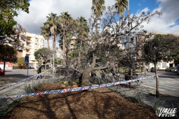 Protecci&oacute;n Civil alerta sobre las fuertes rachas de viento durante el d&iacute;a de ma&ntilde;ana