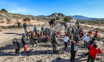 La recogida de le&ntilde;a para la hoguera de San Ant&oacute;n y la jornada de puertas abiertas este fin de semana