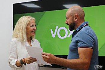 Vox propone mejorar la protecci&oacute;n de la infancia y crear un registro de personas electrodependiente