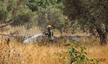 Los Bomberos sofocan un incendio en un descampado de la avenida Reina Sof&iacute;a de Petrer