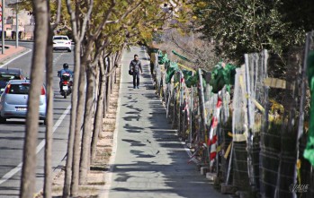 Comienza la construcci&oacute;n de una gasolinera de 700 m2 en la avenida del Centro Excursionista Eldense
