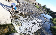 Comienzan las actividades del voluntariado ambiental en Elda