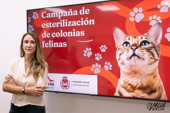 El Ayuntamiento esterilizar&aacute; unos 150 gatos en la nueva campa&ntilde;a para reducir las colonias felinas