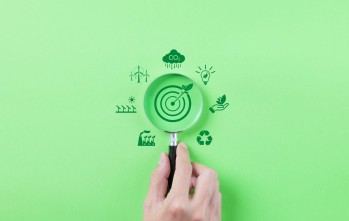 Huella de carbono digital para empresas: estrategias eficaces