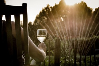 Vinos para disfrutarlos durante el verano