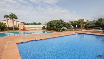 El PP de Petrer lamenta "los hurtos, peleas y actos vand&aacute;licos de las piscinas de verano"