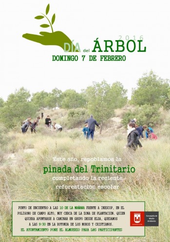 Medio Ambiente dedicar&aacute; la jornada del D&iacute;a del &aacute;rbol a repoblar la pinada del Trinitario