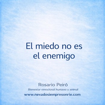 El miedo no es el enemigo