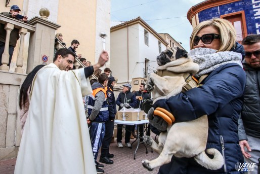 Cientos de animales reciben la bendici&oacute;n de San Ant&oacute;n en Petrer