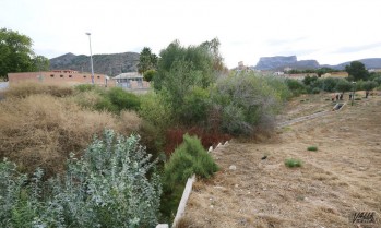 Comienza la limpieza de 15.000 metros de la Rambla de Pu&ccedil;a de Petrer