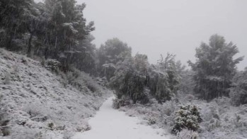 Previsi&oacute;n para el fin de semana