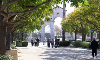 Elda ampliar&aacute; 114 nuevos nichos del cementerio municipal Virgen de los Dolores
