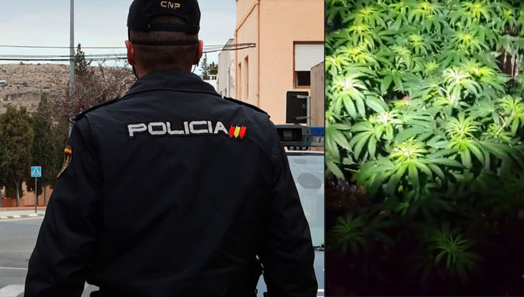 La Policía Nacional localiza una plantación de marihuana tras declararse un incendio en Elda La Policía Nacional localiza una plantación de marihuana tras declararse un incendio en Elda