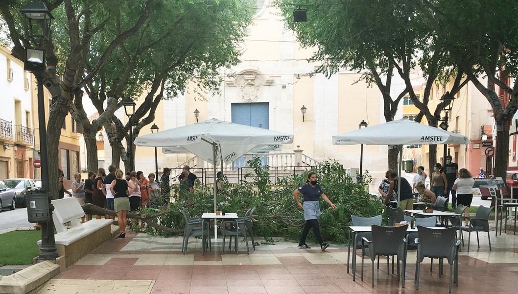 Una rama cae en la Plaza de Baix de Petrer junto a las mesas de un bar Una rama cae en la Plaza de Baix de Petrer junto a las mesas de un bar