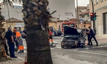 Un veh&iacute;culo choca contra una palmera en Petrer