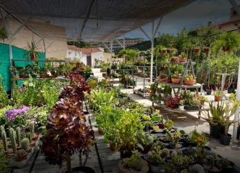 Crea tu jard&iacute;n con Viveros Elda