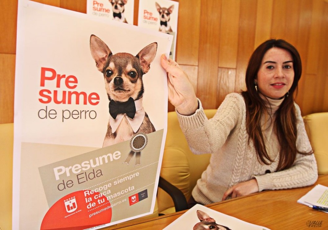Salud sancionará hasta con 600 euros a los dueños de animales que dejen sus excrementos en las vías públicas Salud sancionará hasta con 600 euros a los dueños de animales que dejen sus excrementos en las vías públicas