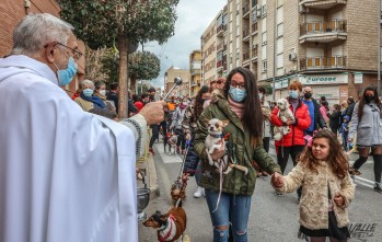 Cientos de mascotas reciben la bendici&oacute;n por Sant Antoni en Petrer
