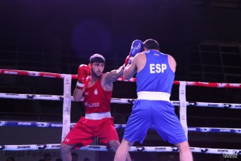 Elda, capital del boxeo nacional por una noche